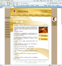 網(wǎng)站設(shè)計(jì)的關(guān)鍵要素 從網(wǎng)頁(yè)到整體用戶(hù)體驗(yàn)